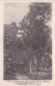 New Hampshire Franklin The Old Elm Planted About 1764 At Daniel Webster Birth...