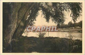 Old Postcard Tours La Douce France Bords de Loire The Cathedral and Stone Bridge