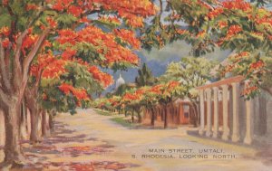 North Main Street Umtali South Rhodesia Vintage African Postcard