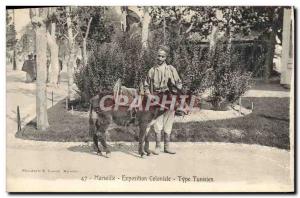 Old Postcard Donkey Mule Marseilles Colonial Exhibition Tunisian Type