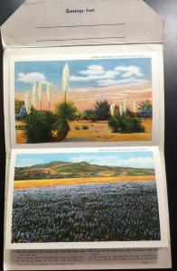 Unused Linen Souvenir Folder w/9 Double sided pics New Mexico LB