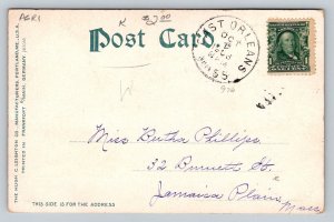 1906  Cranberry Picking on Cape Cod  Massachusetts   Postcard