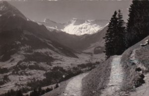 Switzerland Adelboden Hoernliweg Steghoen und Wildstrubel Real Photo