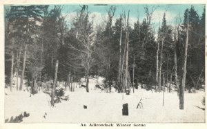 Vintage Postcard 1930's Adirondack Mountain Winter Scene H.J. Kingsley New York