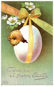 Easter,  Chicks  coming out of Egg