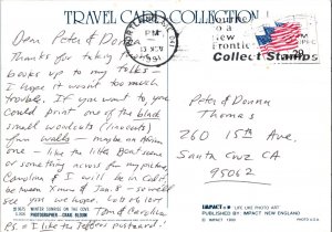 Maine Sunset Vintage Continental Postcard CON14