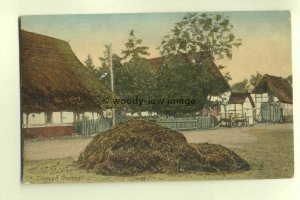 tp4171 - Cornwall - Rural Cornish Scene, unknown location  - Postcard 