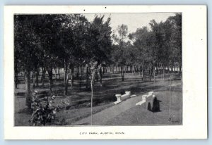 Austin Minnesota Postcard City Park Exterior Field Trees c1898 Vintage Antique