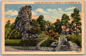 Vtg Bluefield West Virginia WV Pinnacle Rock State Park 1940s View Postcard