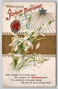 Birthday Birthstone January Garnet Snowdrop 1 Cent w/ Plate Number Postcard L37
