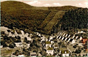 RPPC Birds Eye View Neidenfels Pfalz Palatinate Germany UNP Postcard B10