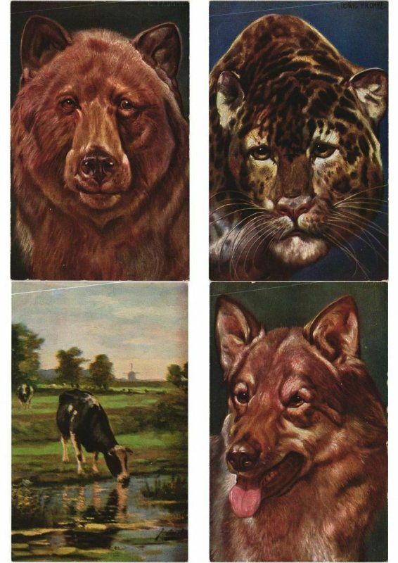 ANIMAUX ANIMALS Mostly ARTIST SIGNED ILLUSTRATEUR 60 CPA (L4538)