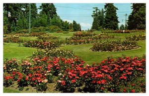 Postcard GARDEN SCENE Vancouver British Columbia BC AR5436