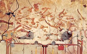 Dinosaur National Monument Pre Historic Unused 