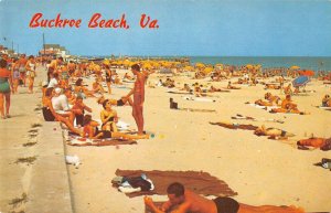 Buckroe Beach Virginia Beach Scene Vintage Postcard AA20899