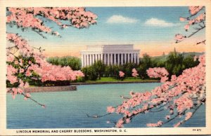 Washington D C Lincoln Memorial and Cherry Blossoms 1937 Curteich