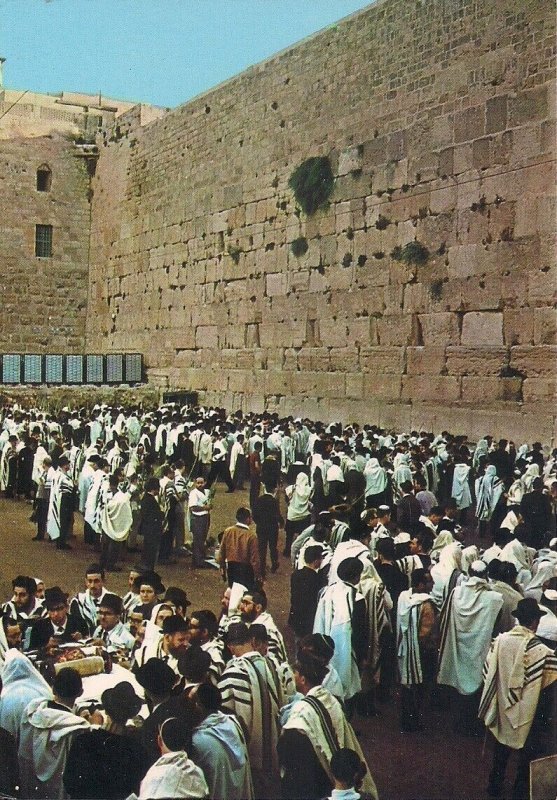 JUDAICA Jerusalem, Western Wall, Kotel, Men Praying Hoshana Rabe 1970's