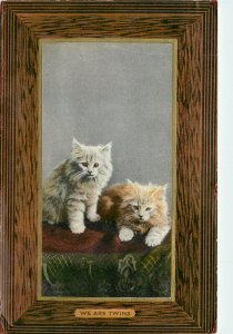 Tuck Kittendom Postcard 5879. Orange & White Tabby Kittens We are Twins Vignette