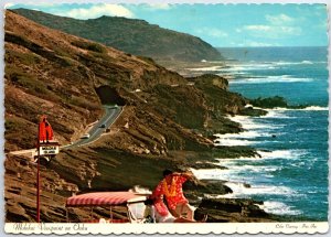 CONTINENTAL SIZE POSTCARD SHORELINE VIEWPOINT AT MOLOKAI OAHU HAWAII POSTED 1973