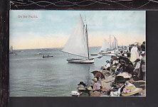 Sailboats,Beach Scene Postcard 