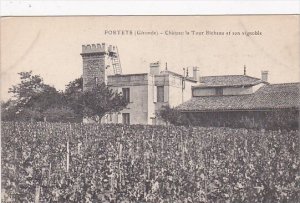 Fraance Portets Chateau la Tour et son vignoble