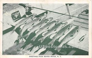 Greetings from - Beaver Brook, New York NY  