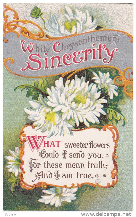 White Chrysanthemum Sincerity Poem, Silver detail, PU-1910