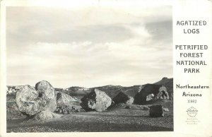 Frashers RPPC X862 Agatized Logs, Petrified Forest National Park NE Arizona AZ