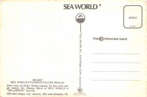 California - Sea World