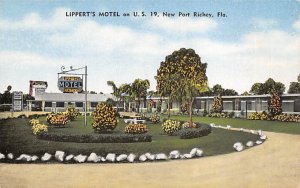 Lippert's Motel on US 19  New Port Richey FL