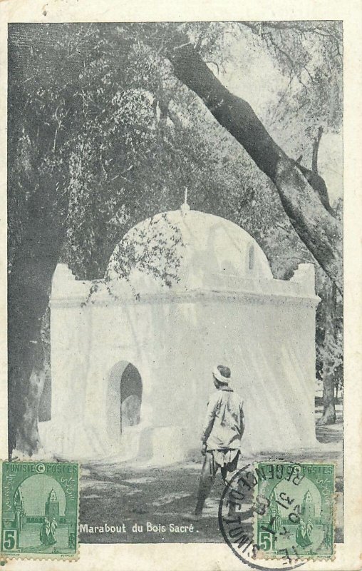 Algeria Postcard Blida Marabout du Bois Sacre