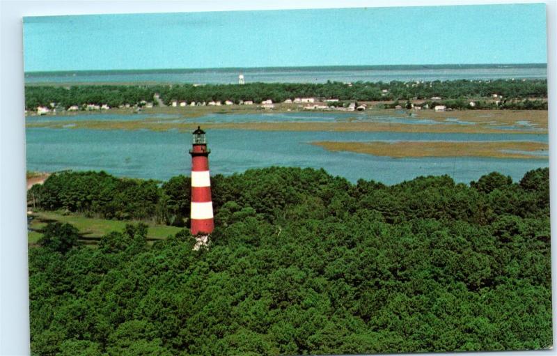 *Chincoteague National Wildlife Refuge Island Assateague Lighthouse Postcard B33