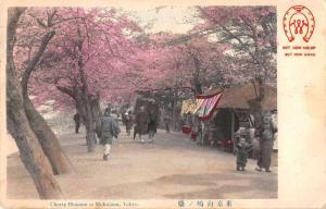 Tokyo Japan Cherry Blossom at Mokojima Antique Postcard J50029