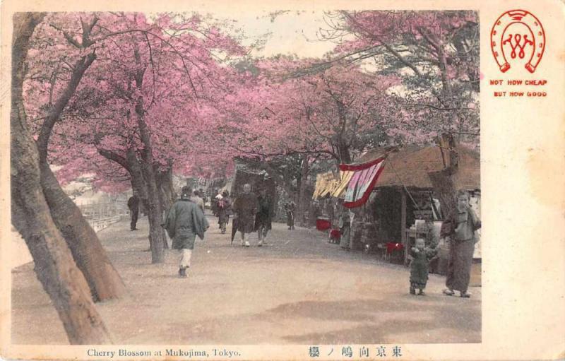 Tokyo Japan Cherry Blossom at Mokojima Antique Postcard J50029