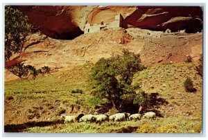 c1950 Mummy Cave Ruin Canyon De Chelly Group of Sheep Chinle Arizona AZ Postcard
