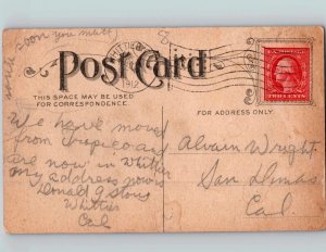 c1912 Anthropomorphic Monkey Buying Coconuts Smoking Pipe Postcard