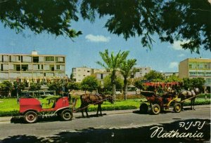 israel palestine, NATHANYA, Horse Cart, Car (1975) Palphot 7935 Postcard