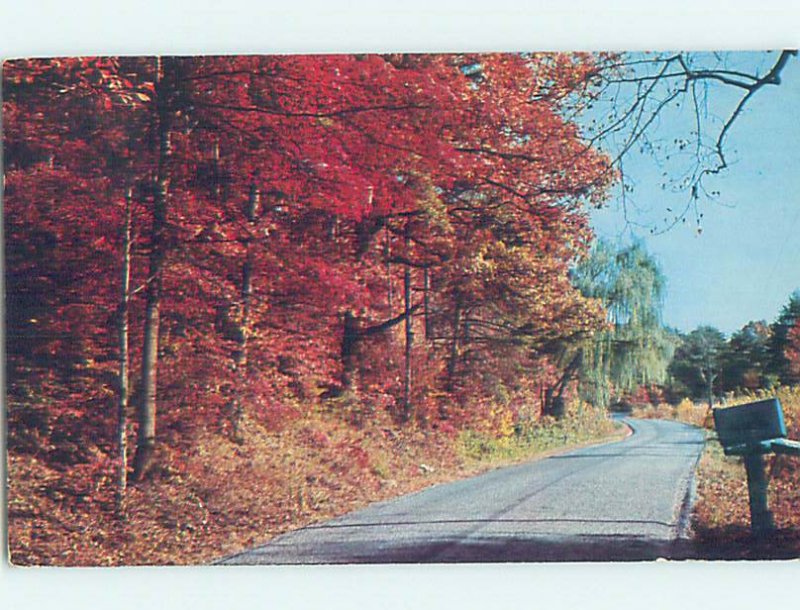 Pre-1980 COUNTRY ROAD Malone - Near Plattsburgh New York NY AD6204