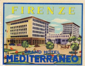 Italy Firenze Grand Hotel Mediterraneo Vintage Luggage Label sk1709