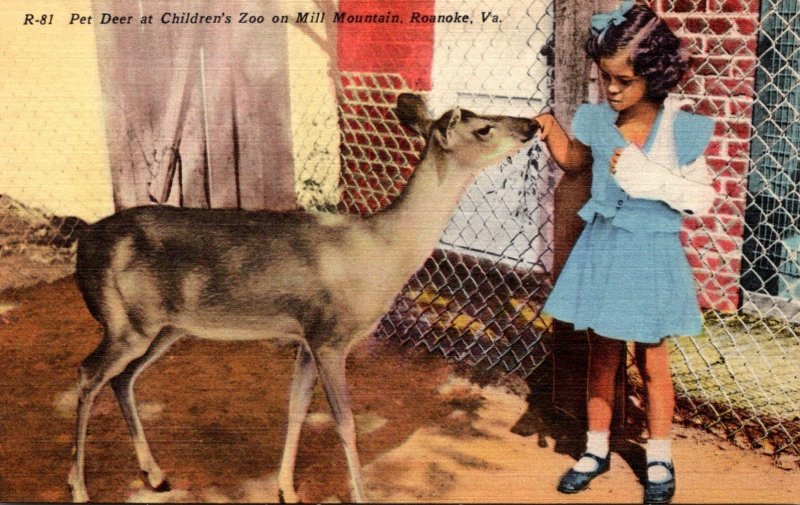 Virginia Roanoke Pet Deer At Children's Zoo On Mill Mountain