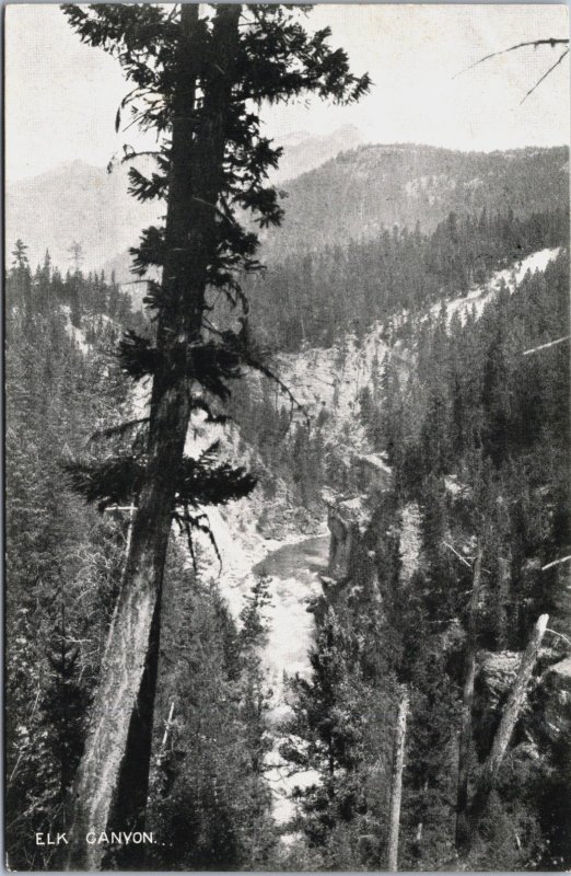 Canada Elk Canyon Vintage Postcard C089
