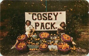 Wauchula Florida Pretty Girl Cosey Pack Postcard Dexter 21-13641