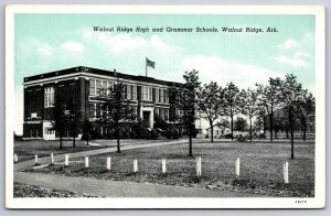 Walnut Ridge Arkansas~High & Grammar Schools Exterior View~Blue Sky~Vtg Postcard