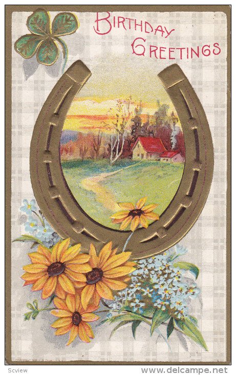 Birthday Greetings, Horseshoe, 1900-1910s