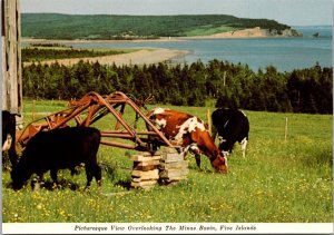 Canada Nova Scotia Five Islands Farm Scene Between Truro & Parrsboro