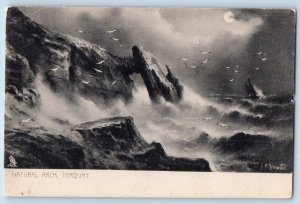 Torquay Devon England Postcard Natural Arch 1905 Rough Sea Tuck Art