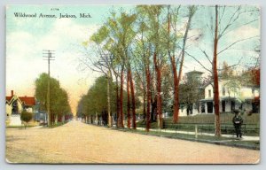 Jackson Michigan~Wildwood Avenue Homes~Gentleman on Corner~Statue~1910 Postcard