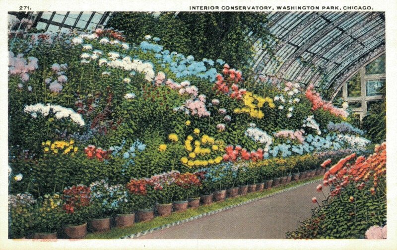 USA Interior Conservatory Washington Park Chicago Vintage Postcard 07.09 