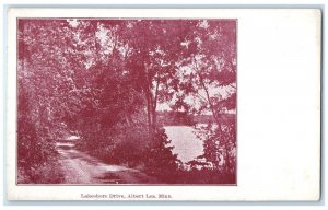 c1898 Lakeshore Drive Exterior View Lake Albert Lea Minnesota Vintage Postcard