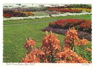 Jewell's Country Gardens, York, Prince Edward Island, PEI, Chrome Postcard #4